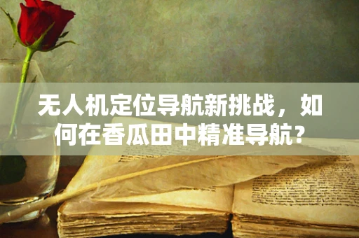 无人机定位导航新挑战，如何在香瓜田中精准导航？