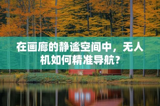 在画廊的静谧空间中，无人机如何精准导航？