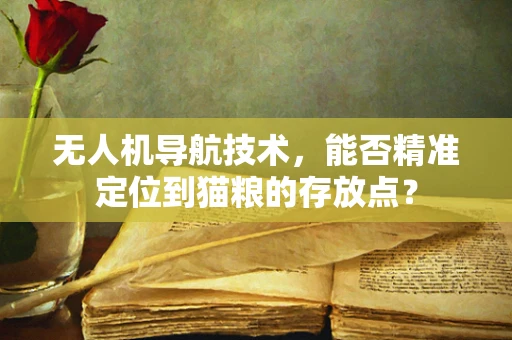 无人机导航技术，能否精准定位到猫粮的存放点？