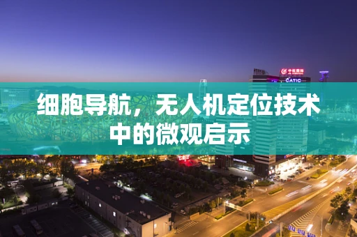 细胞导航，无人机定位技术中的微观启示