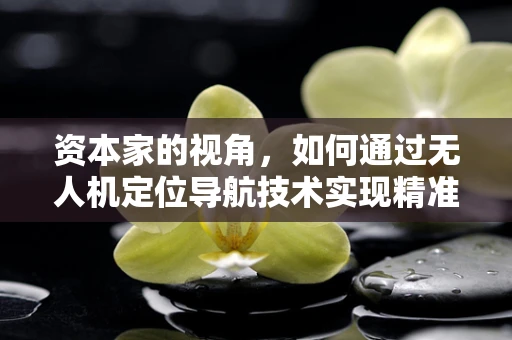 资本家的视角，如何通过无人机定位导航技术实现精准投资？