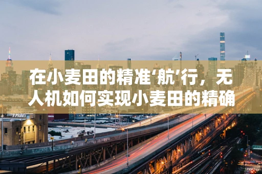 在小麦田的精准‘航’行，无人机如何实现小麦田的精确位置导航？