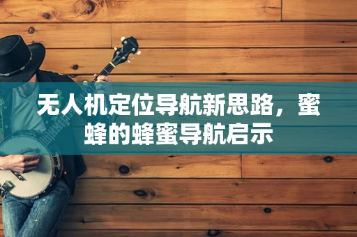 无人机定位导航新思路，蜜蜂的蜂蜜导航启示
