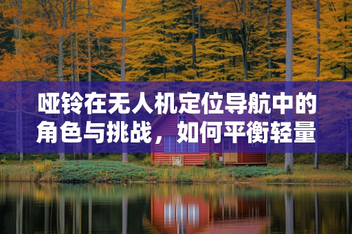 哑铃在无人机定位导航中的角色与挑战，如何平衡轻量与精准？