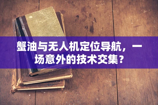 蟹油与无人机定位导航，一场意外的技术交集？