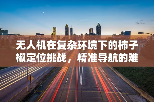 无人机在复杂环境下的柿子椒定位挑战，精准导航的难题与解决方案