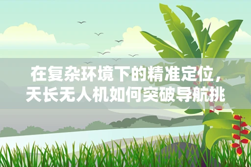 在复杂环境下的精准定位，天长无人机如何突破导航挑战？