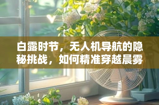白露时节，无人机导航的隐秘挑战，如何精准穿越晨雾迷航？