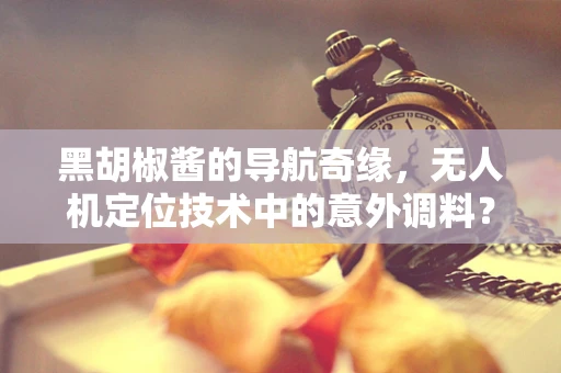 黑胡椒酱的导航奇缘，无人机定位技术中的意外调料？