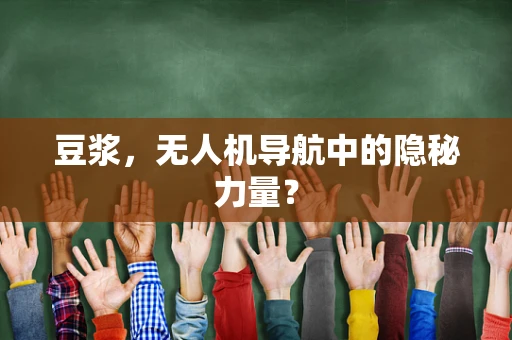 豆浆，无人机导航中的隐秘力量？