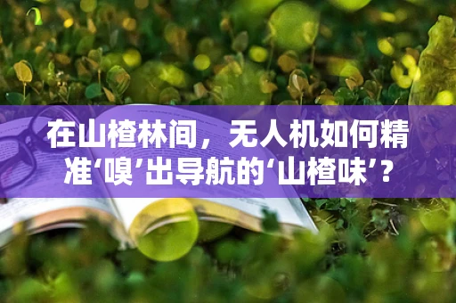 在山楂林间，无人机如何精准‘嗅’出导航的‘山楂味’？