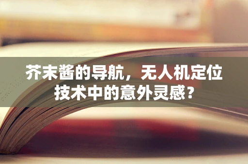 芥末酱的导航，无人机定位技术中的意外灵感？