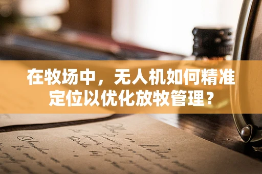 在牧场中，无人机如何精准定位以优化放牧管理？