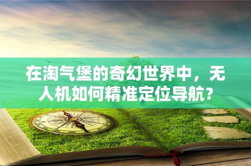 在淘气堡的奇幻世界中，无人机如何精准定位导航？