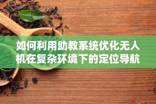如何利用助教系统优化无人机在复杂环境下的定位导航？