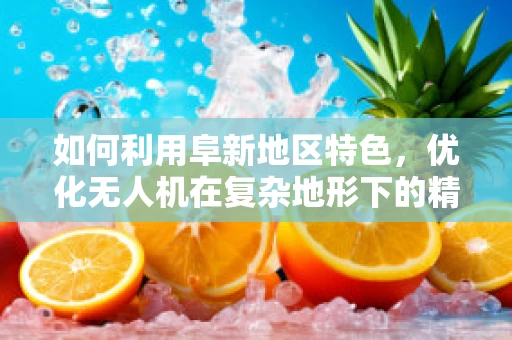 如何利用阜新地区特色，优化无人机在复杂地形下的精准定位导航？