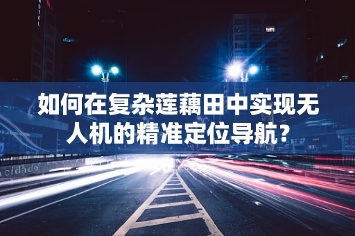 如何在复杂莲藕田中实现无人机的精准定位导航？