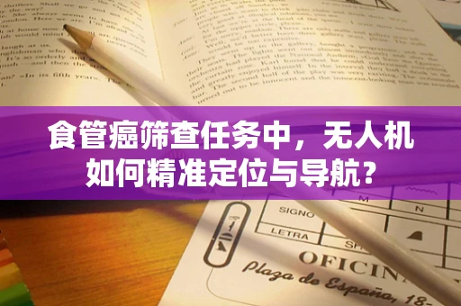 食管癌筛查任务中，无人机如何精准定位与导航？