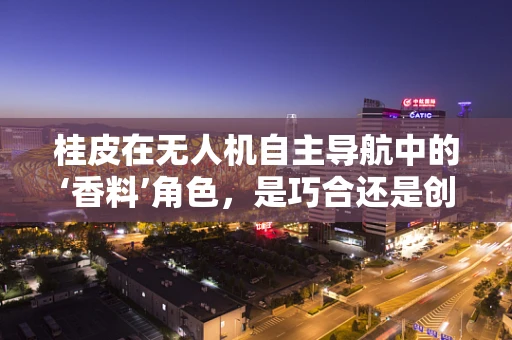 桂皮在无人机自主导航中的‘香料’角色，是巧合还是创新？