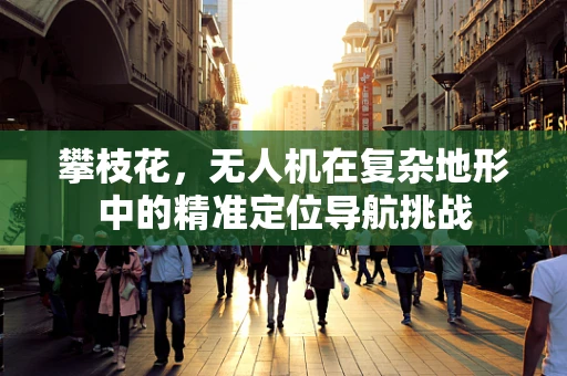 攀枝花，无人机在复杂地形中的精准定位导航挑战