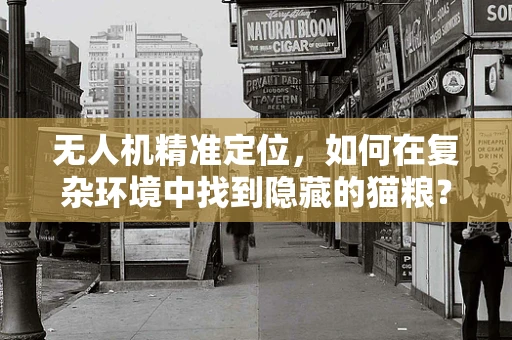 无人机精准定位，如何在复杂环境中找到隐藏的猫粮？