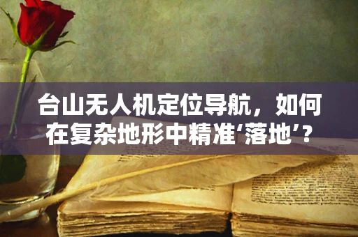 台山无人机定位导航，如何在复杂地形中精准‘落地’？
