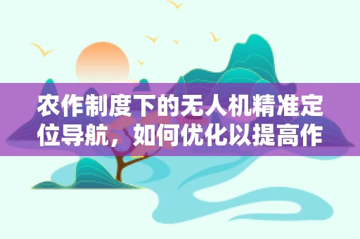 农作制度下的无人机精准定位导航，如何优化以提高作物管理效率？