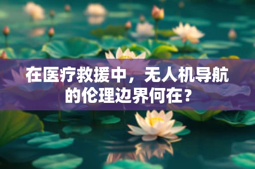 在医疗救援中，无人机导航的伦理边界何在？