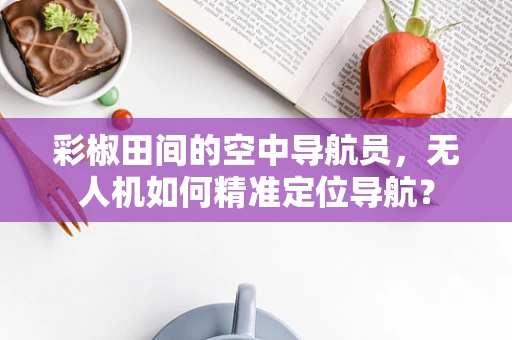 彩椒田间的空中导航员，无人机如何精准定位导航？