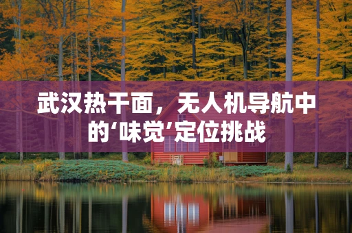 武汉热干面，无人机导航中的‘味觉’定位挑战