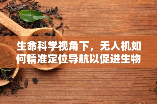 生命科学视角下，无人机如何精准定位导航以促进生物多样性监测？