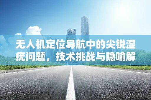 无人机定位导航中的尖锐湿疣问题，技术挑战与隐喻解析