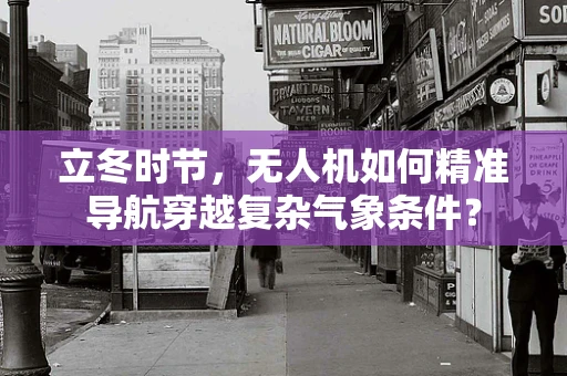 立冬时节，无人机如何精准导航穿越复杂气象条件？