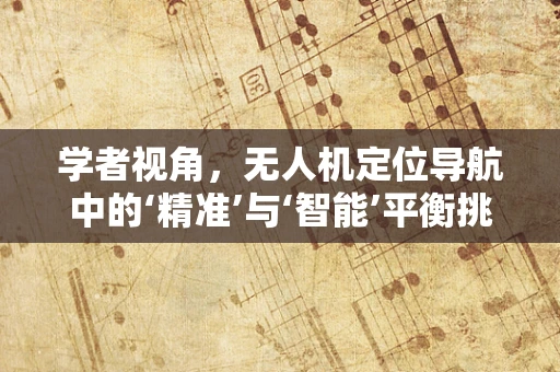 学者视角，无人机定位导航中的‘精准’与‘智能’平衡挑战