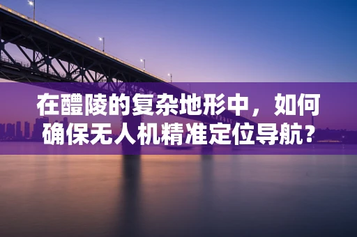 在醴陵的复杂地形中，如何确保无人机精准定位导航？