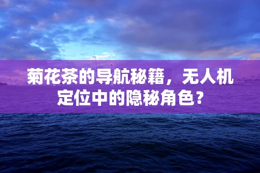 菊花茶的导航秘籍，无人机定位中的隐秘角色？