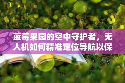 蓝莓果园的空中守护者，无人机如何精准定位导航以保护脆弱的蓝莓？