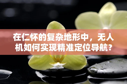 在仁怀的复杂地形中，无人机如何实现精准定位导航？