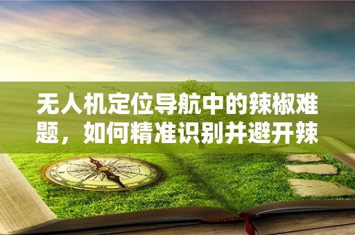无人机定位导航中的辣椒难题，如何精准识别并避开辣味区域？