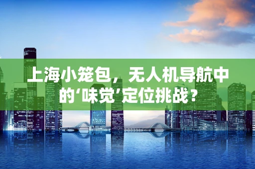 上海小笼包，无人机导航中的‘味觉’定位挑战？