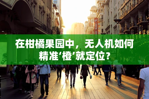 在柑橘果园中，无人机如何精准‘橙’就定位？