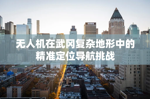 无人机在武冈复杂地形中的精准定位导航挑战