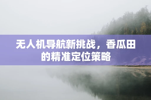 无人机导航新挑战，香瓜田的精准定位策略