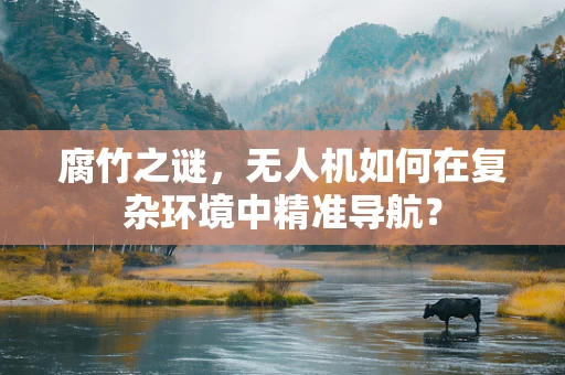 腐竹之谜，无人机如何在复杂环境中精准导航？