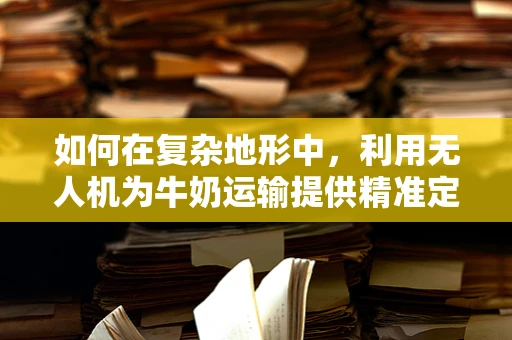 如何在复杂地形中，利用无人机为牛奶运输提供精准定位导航？