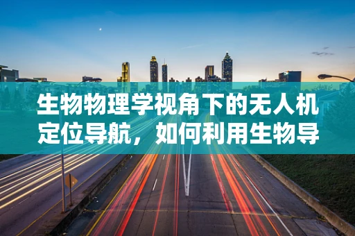 生物物理学视角下的无人机定位导航，如何利用生物导航机制提升精度？