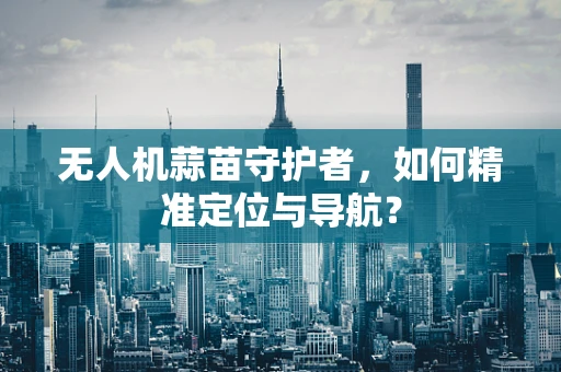 无人机蒜苗守护者，如何精准定位与导航？