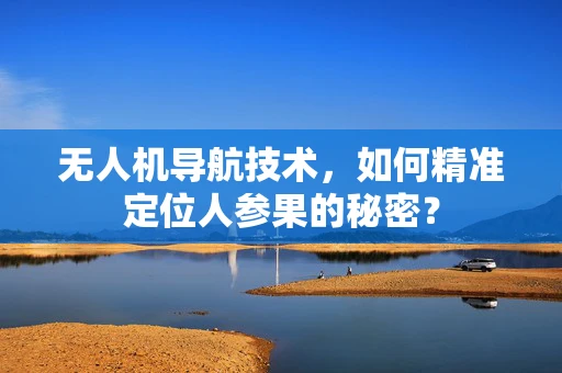无人机导航技术，如何精准定位人参果的秘密？