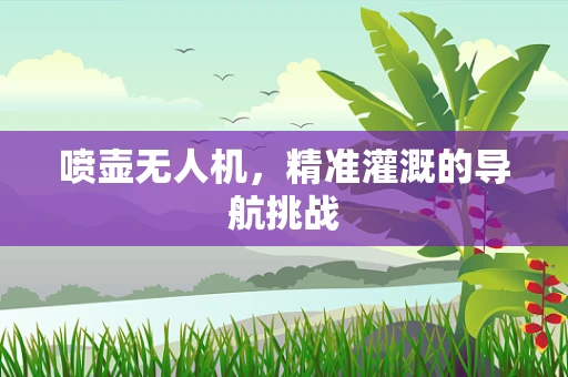 喷壶无人机，精准灌溉的导航挑战