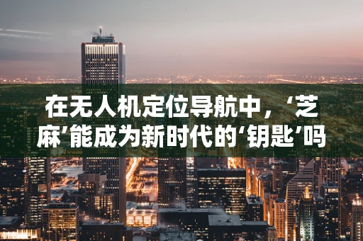在无人机定位导航中，‘芝麻’能成为新时代的‘钥匙’吗？